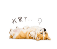 839697234
