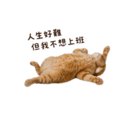 839697284