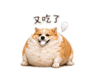 839697516