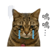 839697611