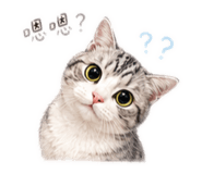 839698797