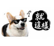 839699005