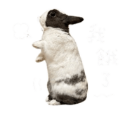 839699100