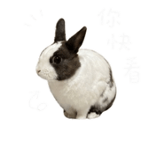 839699106
