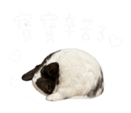 839699107