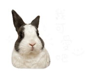 839699111