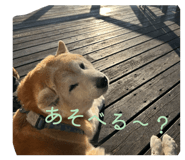 839699545
