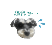 839699785