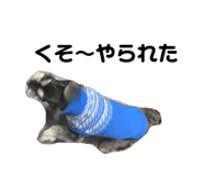 839699792