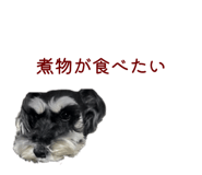 839699806