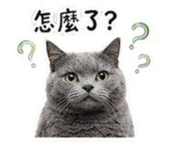 839699885