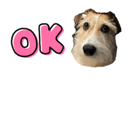 839700196