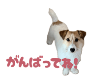 839700197
