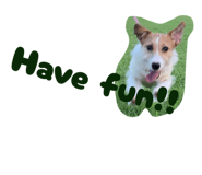 839700198