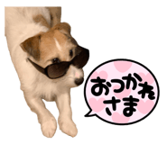 839700202