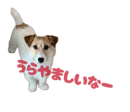 839700208