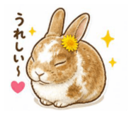 839700291