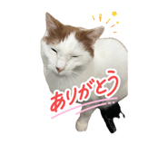 839700571