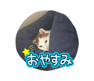 839700572