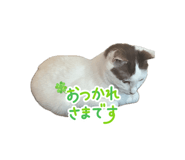 839700574