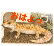 839700961