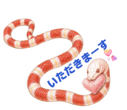 839700964