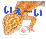 839700972