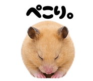 839701291
