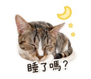 839702211