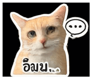 839703345