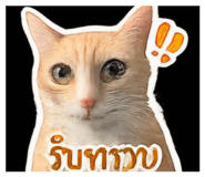 839703351