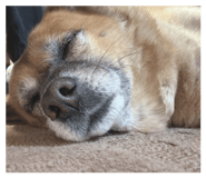 839703636