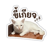 839703761