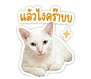 839703763