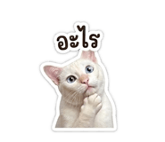 839703771