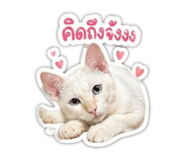 839703772