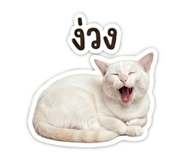 839703778