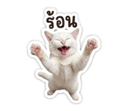 839703780