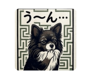 839703877