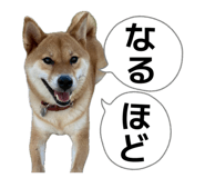 839703925