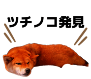 839703934