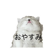 839704313