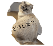 839704315