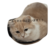 839704328