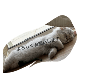 839704329