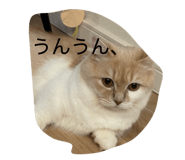 839704334