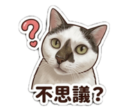 839704422