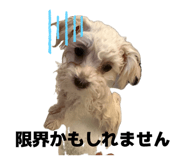 839704912