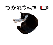 839704994
