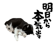 839704997